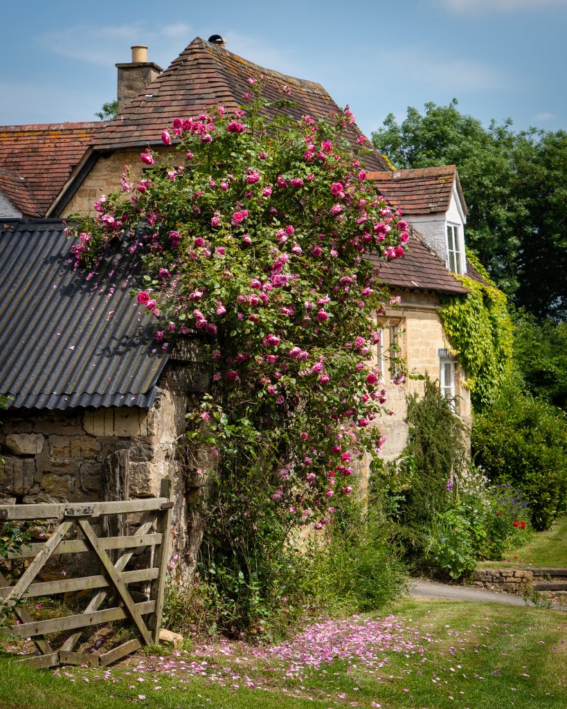 Hill Cottage