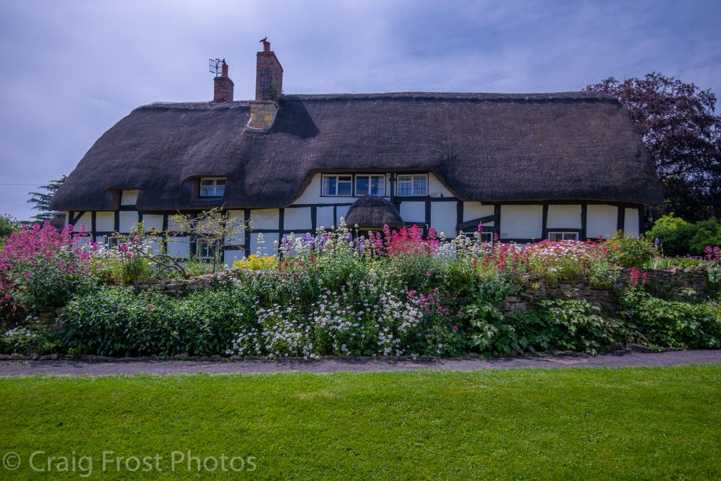 Walnut Thatch from Beckford Road