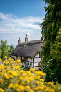 Badgers Retreat from Hill Cottage