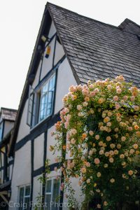 Roses Round the House - Orchard House